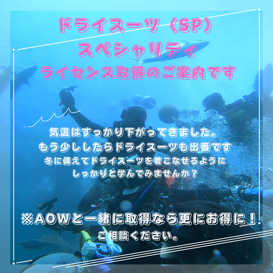 ギャラリー