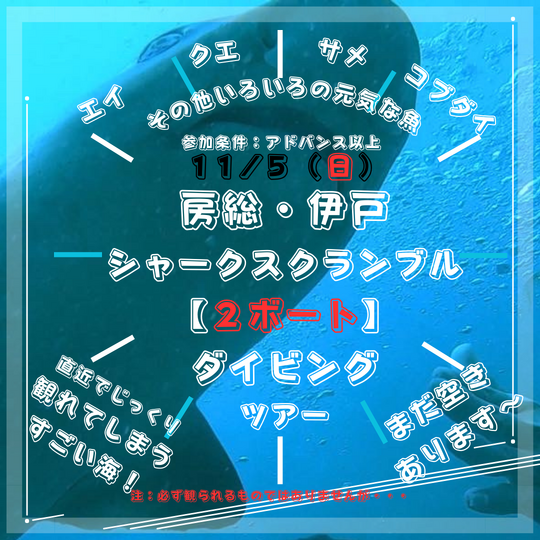 ギャラリー